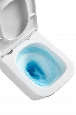 Подвесной унитаз безободковый Terminus Ватикан Monolit 490х340 белый Сыктывкар - фото 8 Подвесной унитаз безободковый Terminus Ватикан Monolit 490х340 белый Сыктывкар - фото 8