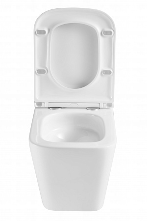 Подвесной унитаз безободковый Terminus Ватикан Monolit 490х340 белый Сыктывкар - фото 7 Подвесной унитаз безободковый Terminus Ватикан Monolit 490х340 белый Сыктывкар - фото 7