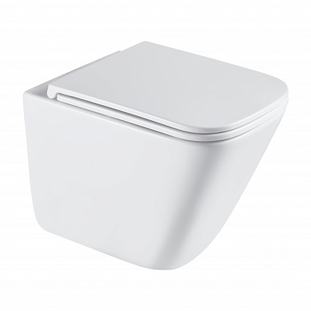 Подвесной унитаз безободковый Terminus Ватикан Monolit 490х340 белый Сыктывкар - фото 2 Подвесной унитаз безободковый Terminus Ватикан Monolit 490х340 белый Сыктывкар - фото 2