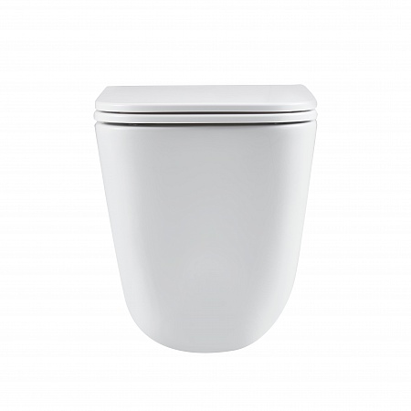 Подвесной унитаз безободковый Terminus Ватикан Monolit 490х340 белый Сыктывкар - фото 6 Подвесной унитаз безободковый Terminus Ватикан Monolit 490х340 белый Сыктывкар - фото 6