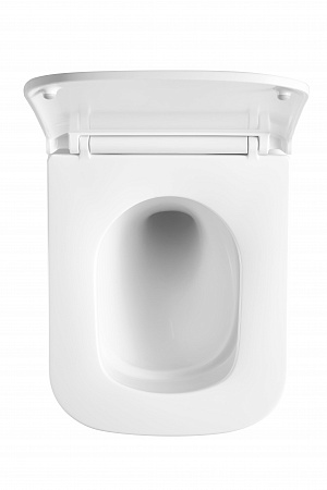 Подвесной унитаз безободковый Terminus Ватикан Monolit 490х340 белый Сыктывкар - фото 3 Подвесной унитаз безободковый Terminus Ватикан Monolit 490х340 белый Сыктывкар - фото 3